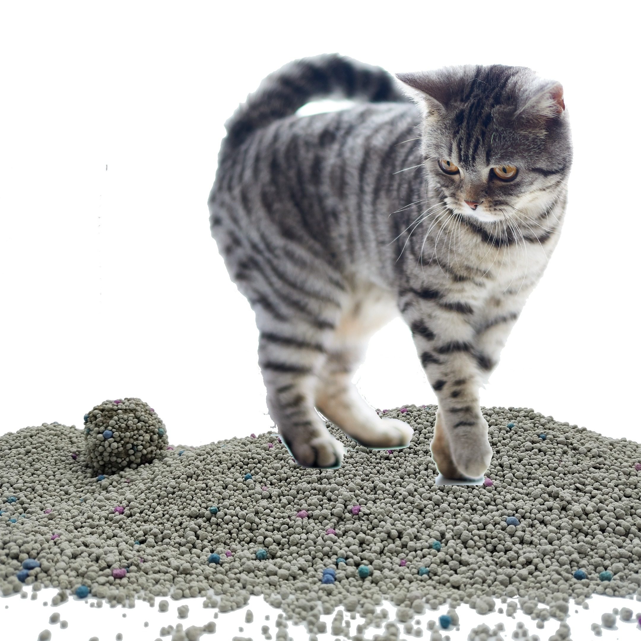 Odor control activated carbon bentonite cat litter